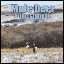 Mule Deer & the Chinook (page 116) Issue 91 (click the pic for an enlarged view)